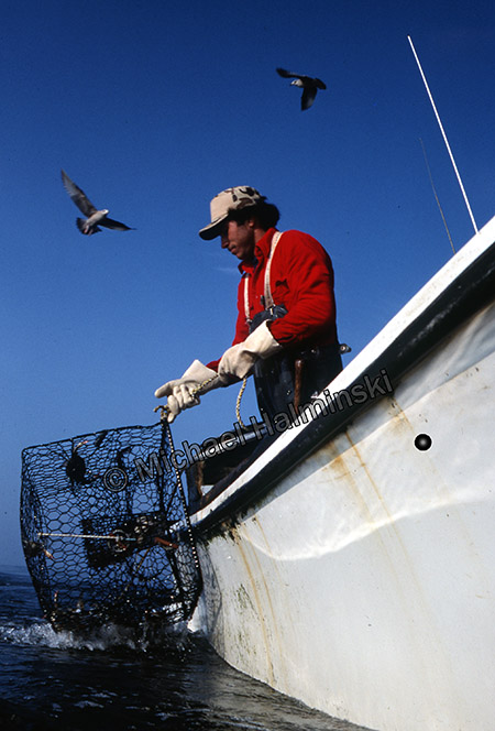 Snelling a hook on a short leader - Page 2 - Hatteras/OBX Fishing