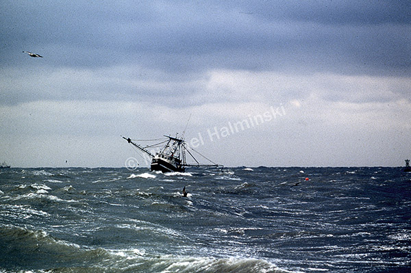 commercial fishing, boat, pamilco sound, gillnetting