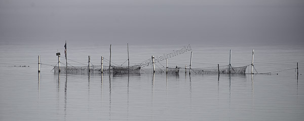 commercial fishing, boat, pamilco sound, gillnetting