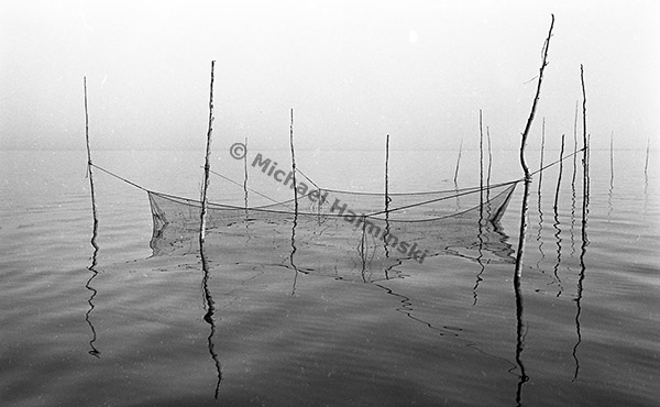 commercial fishing, boat, pamilco sound, gillnetting